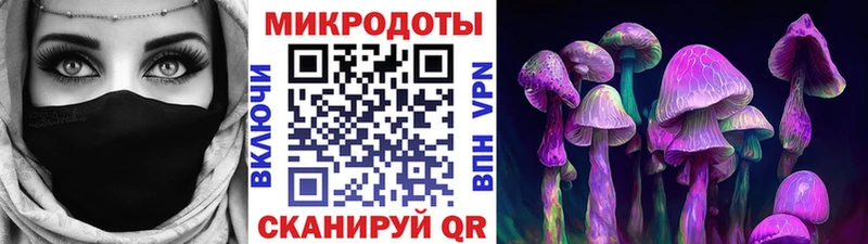 Псилоцибиновые грибы прущие грибы  Пойковский 